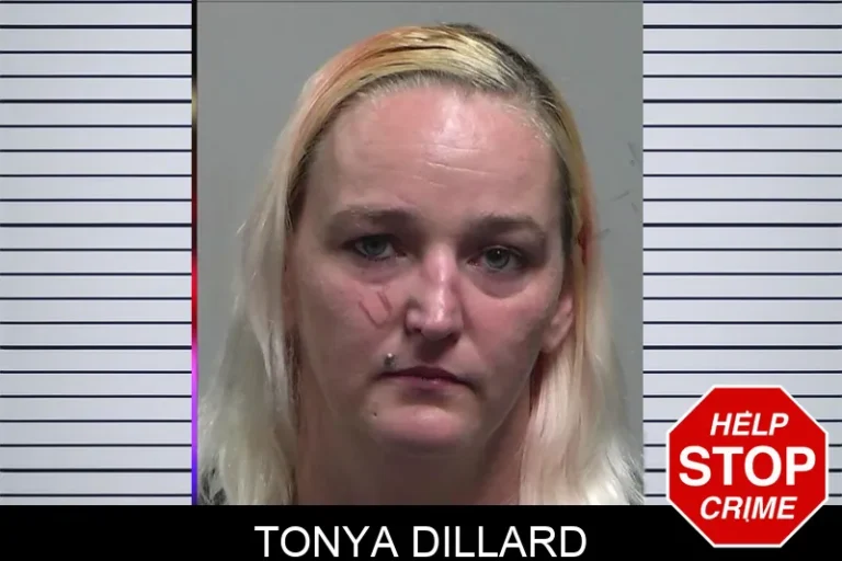 Tonya Dillard mugshot β Tift County , Georgia Tonya Dillard