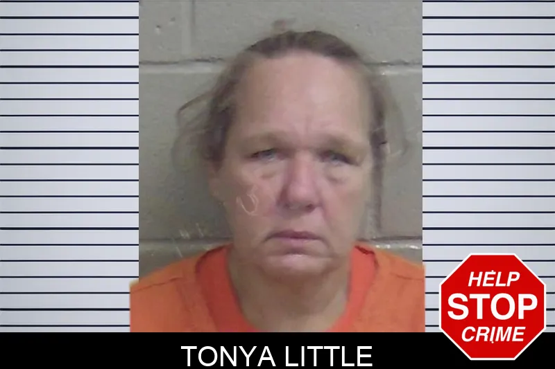 Tonya Little Mugshots