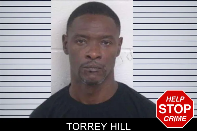Torrey Hill