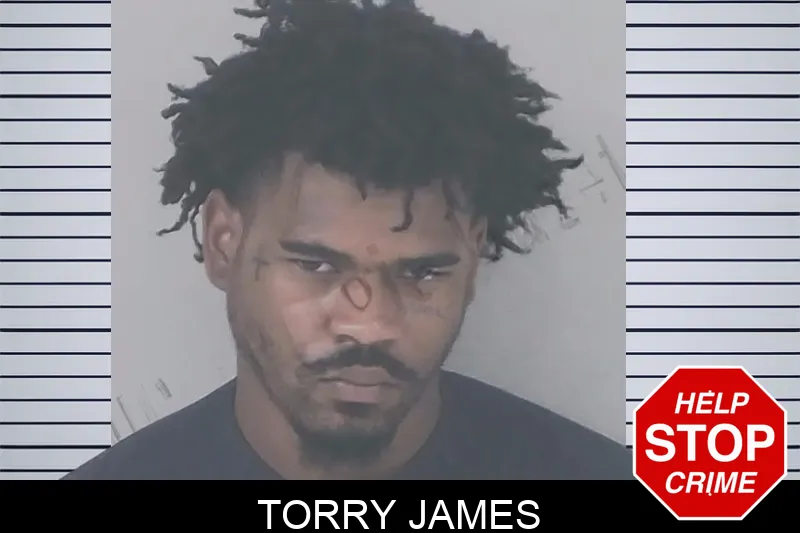 Torry James mugshot