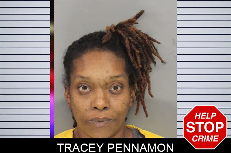 Tracey Pennamon mugshot – Cobb County , Georgia Tracey Pennamon mugshot