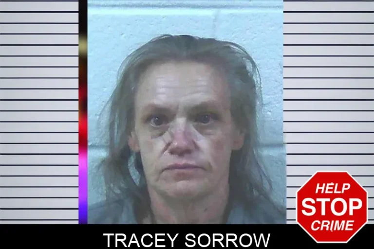 Tracey Sorrow mugshot – Jackson County , Georgia Tracey Sorrow