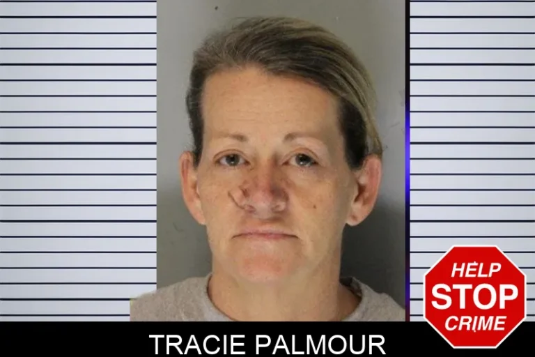 Tracie Palmour mugshot – Hall County , Georgia Tracie Palmour