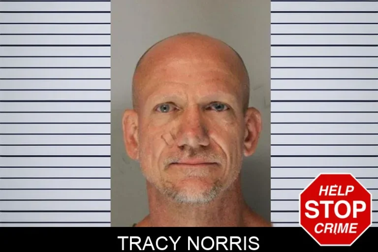 Tracy Norris mugshot – Hall County , Georgia Tracy Norris