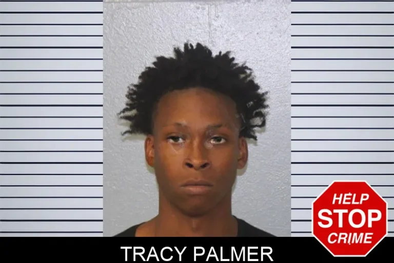 Tracy Palmer mugshot β Mcintosh County , Georgia Tracy Palmer
