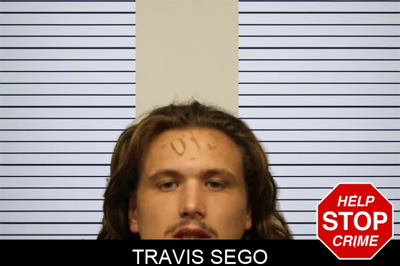 Travis Sego mugshot – Chatham County , Georgia Travis Sego mugshot