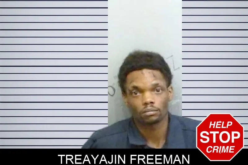 Treayajin Freeman mugshot – Fulton County , Georgia Treayajin Freeman mugshot