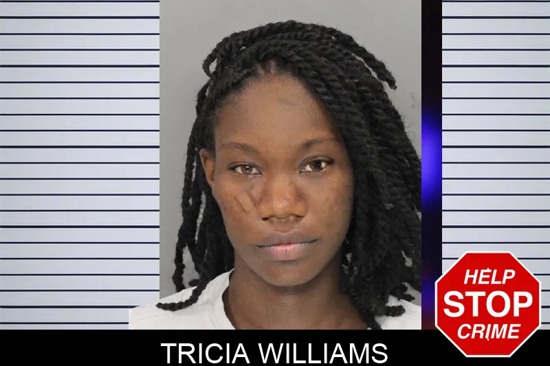 Tricia Williams mugshot