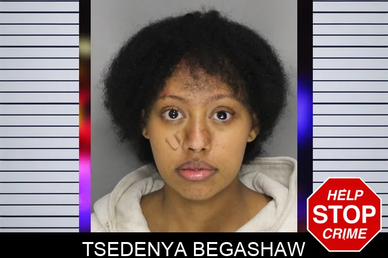 Tsedenya Begashaw mugshot