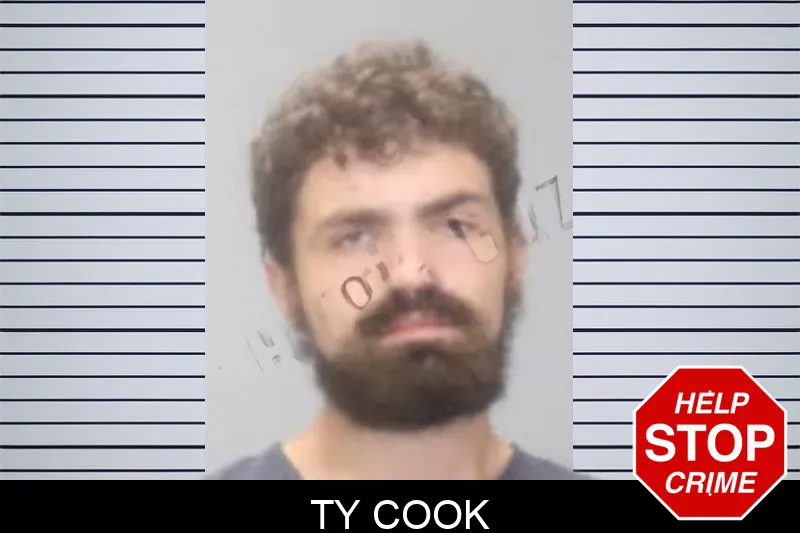 Ty Cook Mugshots