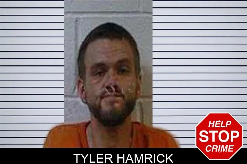 Tyler Hamrick Mugshots