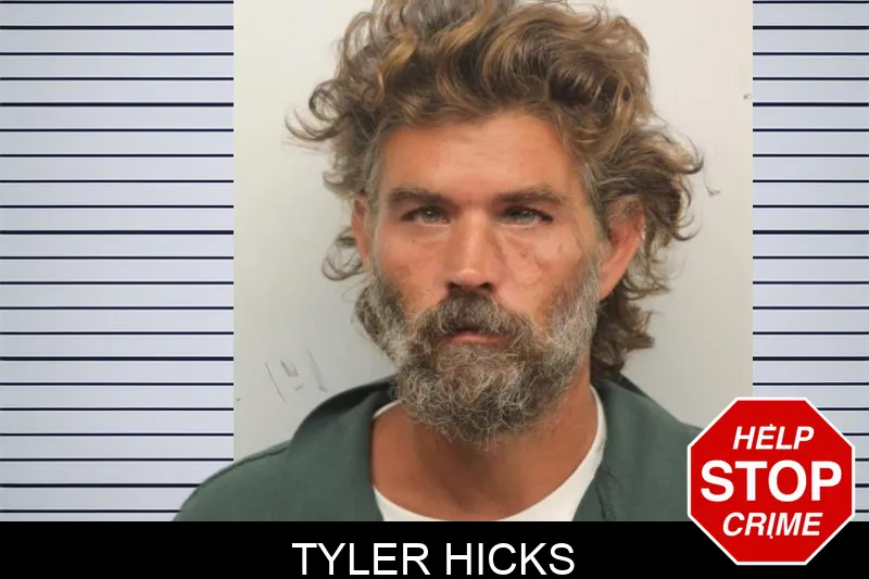 Tyler Hicks mugshot