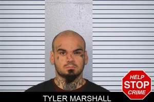Tyler Marshall mugshot