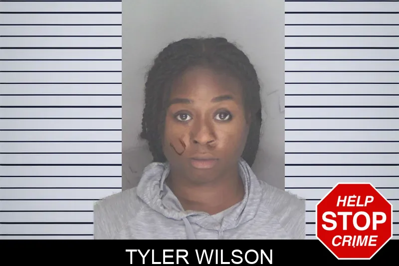 Tyler Wilson Mugshots
