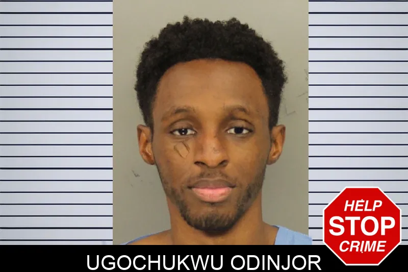 Ugochukwu Odinjor mugshot
