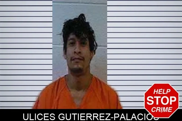 Ulices Gutierrez-Palacios