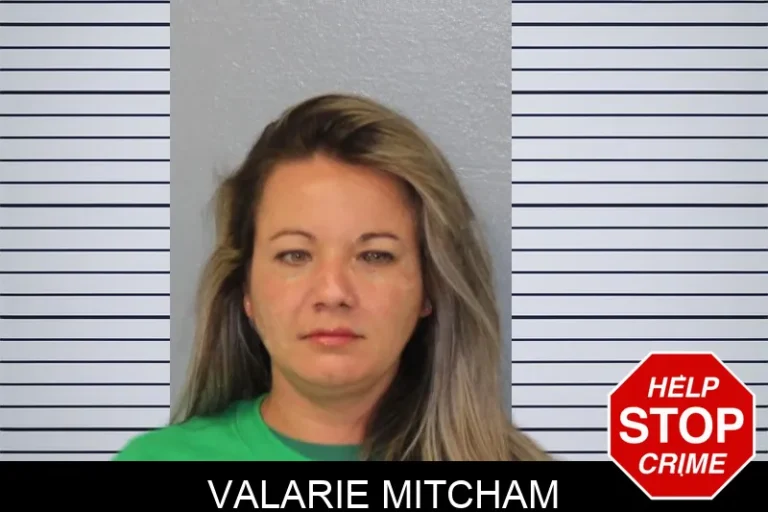 Valarie Mitcham mugshot – Mcintosh County , Georgia Valarie Mitcham