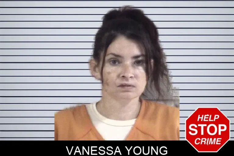 Vanessa Young mugshot – Whitfield County , Georgia Vanessa Young