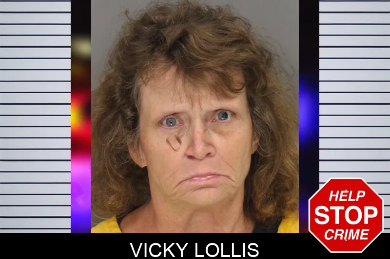 Vicky Lollis mugshot