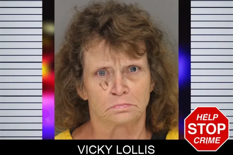 Vicky Lollis