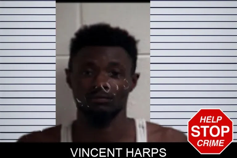 Vincent Harps