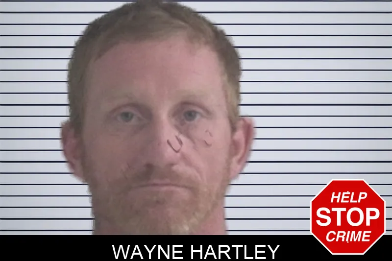 Wayne Hartley