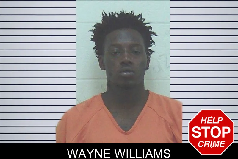 Wayne Williams