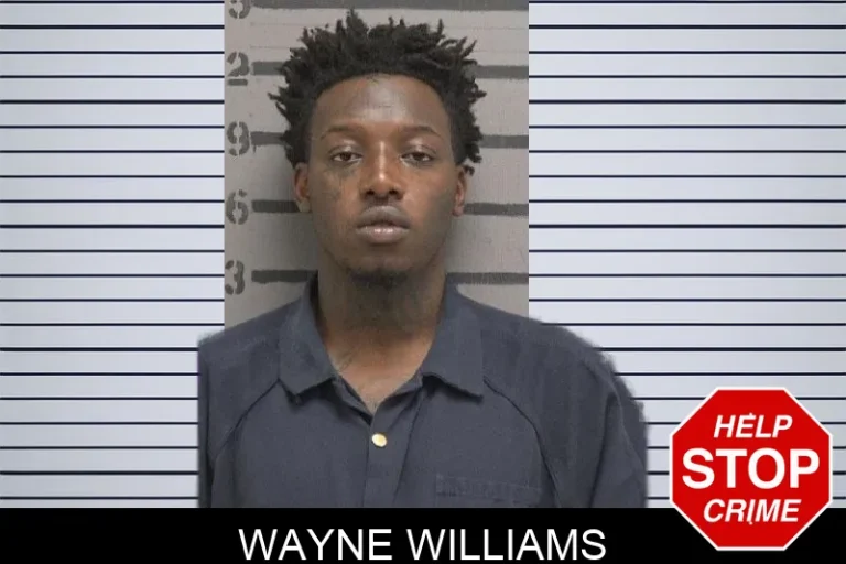Wayne Williams