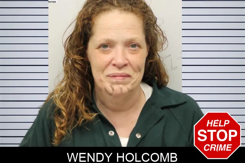 Wendy Holcomb mugshot