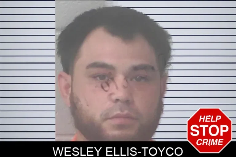 Wesley Ellis-Toyco