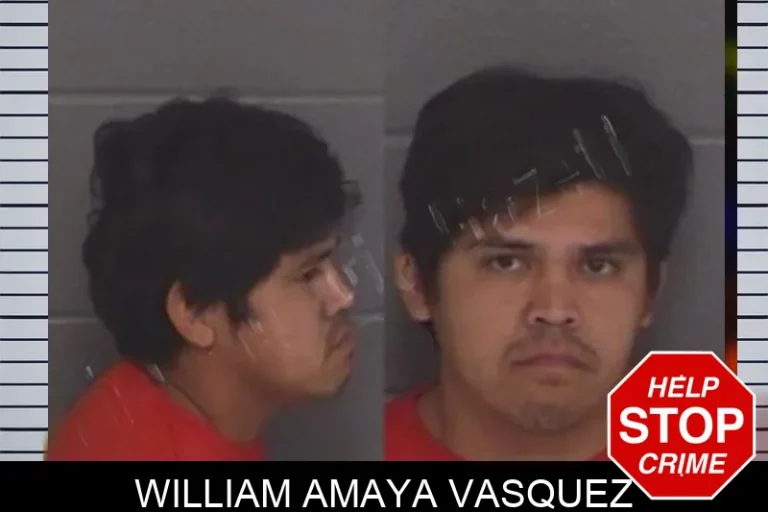 William Amaya Vasquez