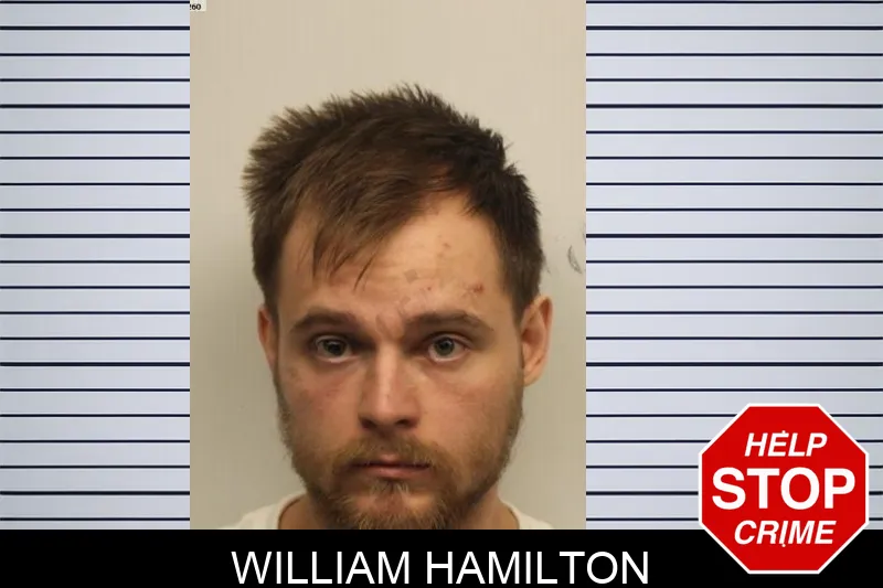 William Hamilton mugshot – Chatham County , Georgia William Hamilton mugshot