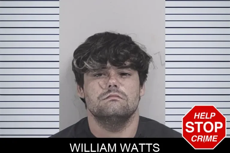 William Watts mugshot – Lowndes County , Georgia William Watts