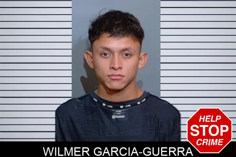 Wilmer Garcia-Guerra