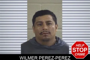 Wilmer Perez-Perez mugshot