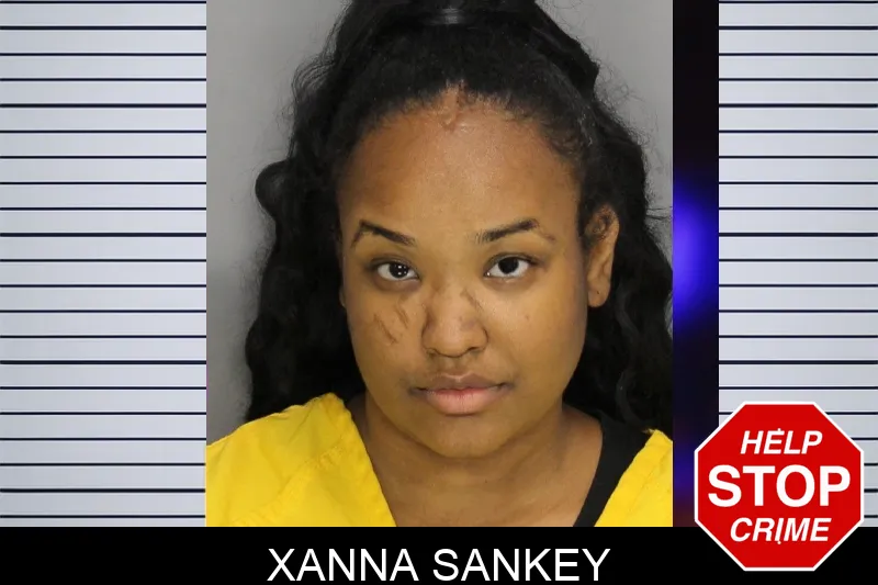Xanna Sankey mugshot – Cobb County , Georgia Xanna Sankey mugshot