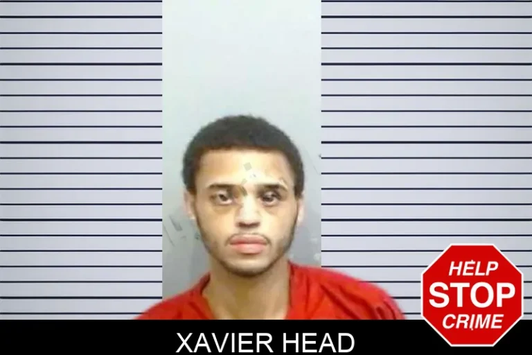 Xavier Head