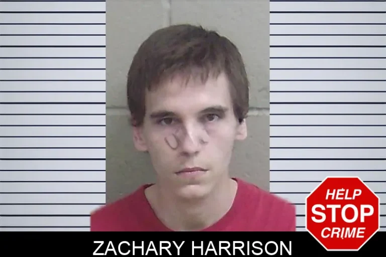 Zachary Harrison mugshot – Wayne County , Georgia Zachary Harrison