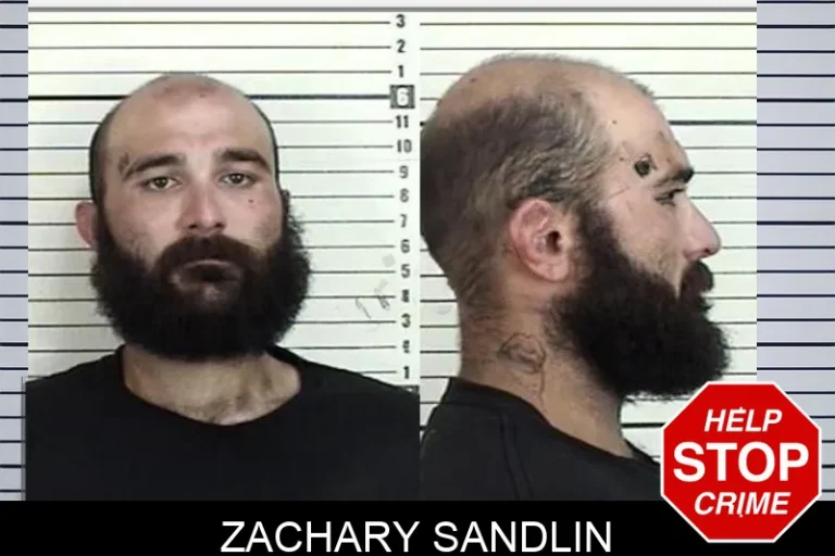 Zachary Sandlin