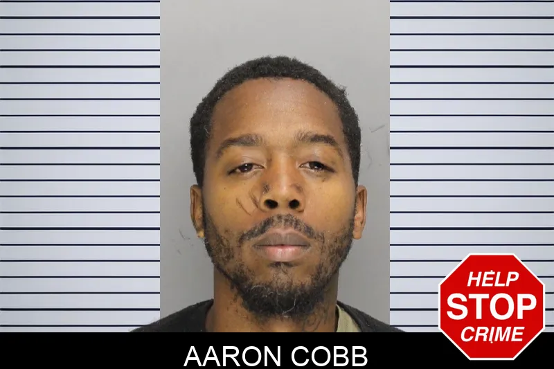 Aaron Cobb mugshot