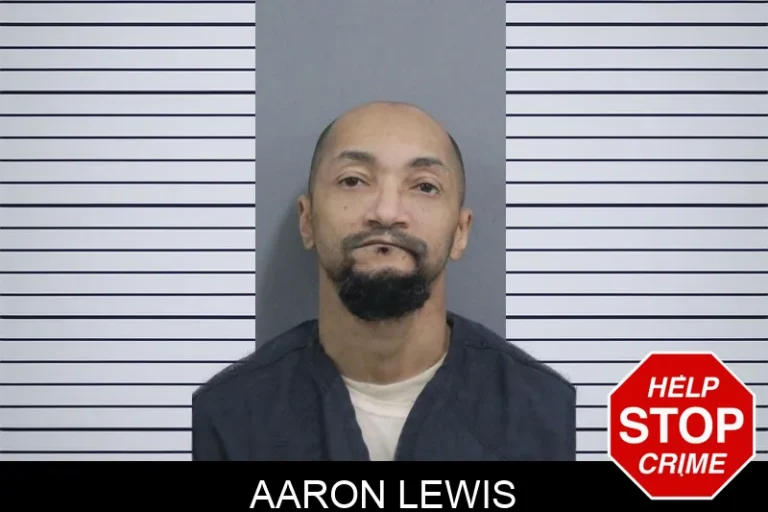 Aaron Lewis mugshot – Catoosa County , Georgia Aaron Lewis