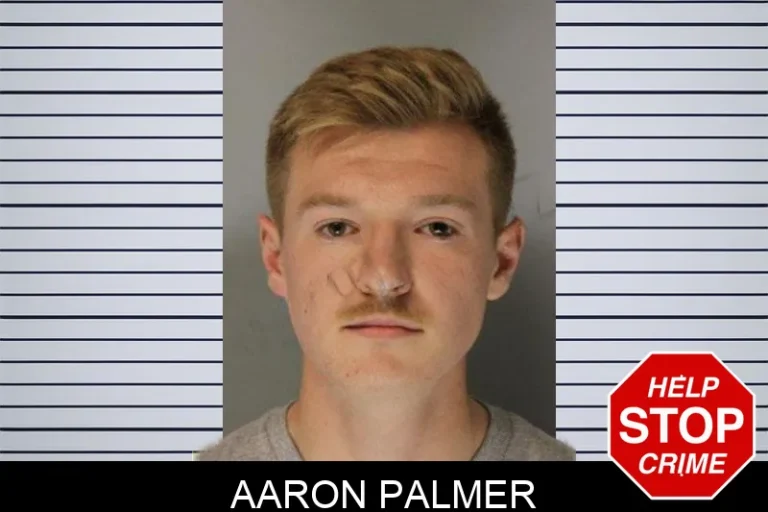 Aaron Palmer mugshot – Hall County , Georgia Aaron Palmer