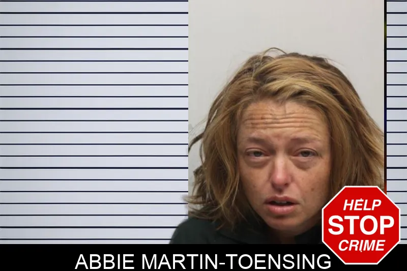 Abbie Martin-Toensing mugshot – Chatham County , Georgia Abbie Martin-Toensing mugshot
