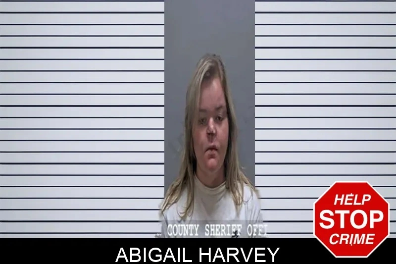 Abigail Harvey