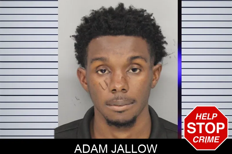 Adam Jallow mugshot – Cobb County , Georgia Adam Jallow mugshot