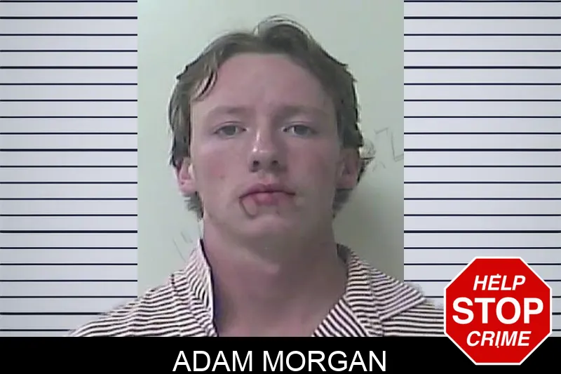 Adam Morgan