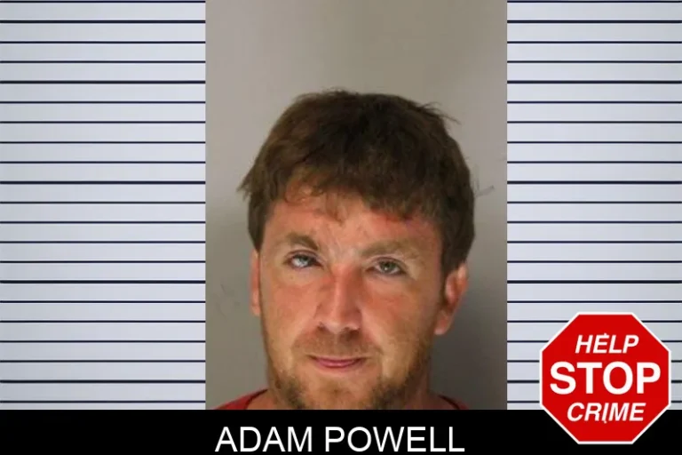 Adam Powell mugshot – Hall County , Georgia Adam Powell