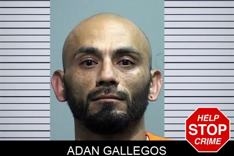 Adan Gallegos mugshot – Effingham County , Georgia Adan Gallegos