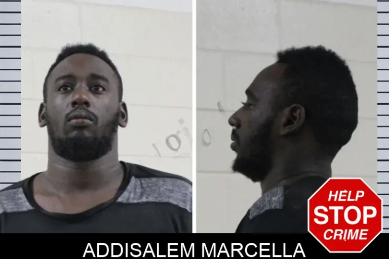 Addisalem Marcella mugshot – Houston County , Georgia Addisalem Marcella
