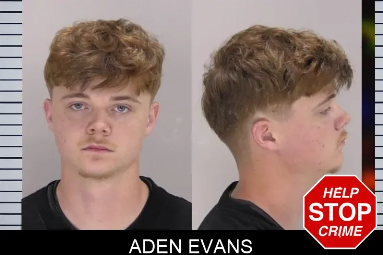 Aden Evans